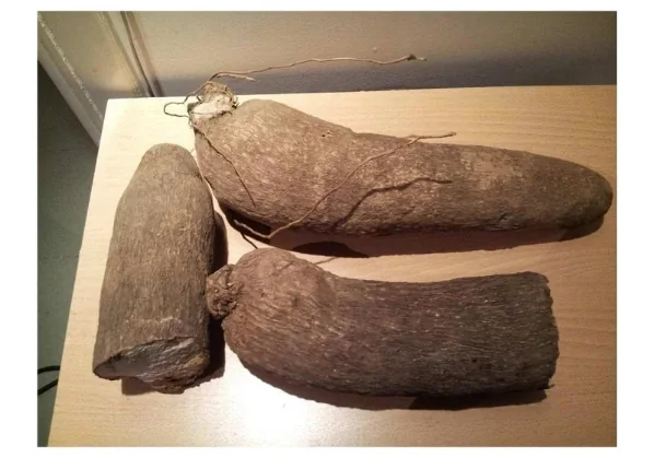 African Mature & Fresh Coconuts & West African Puna Yam Tubers