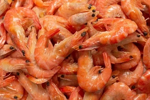 Tuna, Shrimp & Wild Seafood - 2