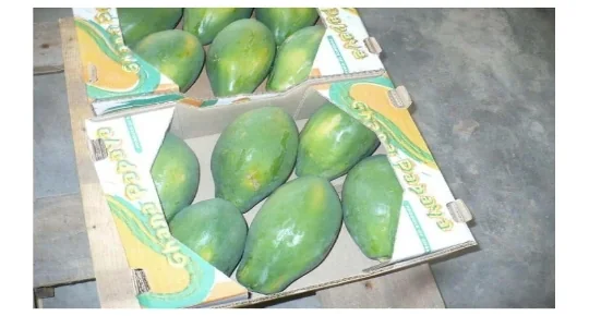 Fruits Tropicaux Frais - 4