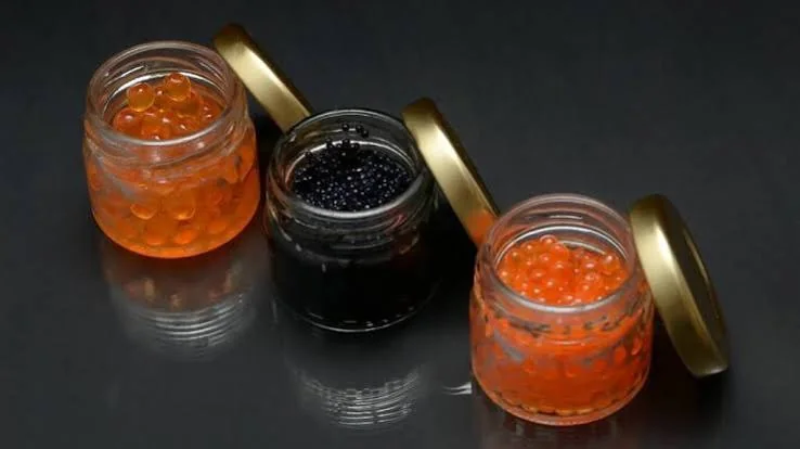 Hôtellerie de Luxe & Caviar Beluga Impérial Certifié CITES